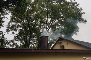 Pożar sadz w gminie Piekoszów