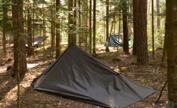 Namiot w lesie