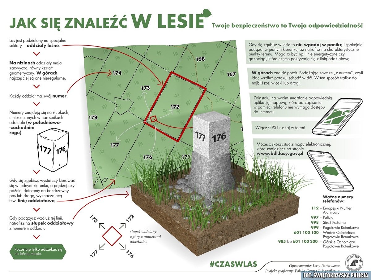 Pamiętaj o bezpieczeństwie podczas grzybobrania