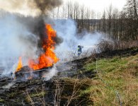 Akcja gaśnicza w Daleszycach w dniu 02 kwietnia 2017 r. 