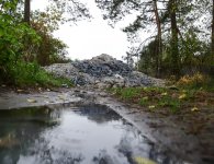 Porzucone odpady zwierzęce w gminie Morawica