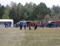 Miłośnicy koni zebrali się w Woli Łagowskiej