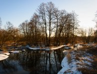 Konkurs fotograficzny pn. „Przyroda powiatu kieleckiego zimą i wiosną w obiektywie”