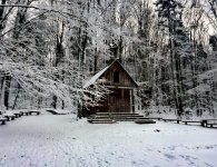 Konkurs fotograficzny pn. „Przyroda powiatu kieleckiego zimą i wiosną w obiektywie”