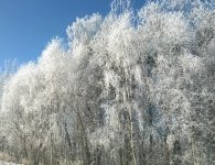 Konkurs fotograficzny pn. „Przyroda powiatu kieleckiego zimą i wiosną w obiektywie”