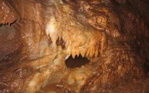 Jaskinia Chelosiowa Jama w JAworzni (5)