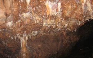 Jaskinia Chelosiowa Jama w JAworzni (4)