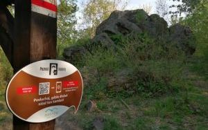 Nowa turystyczna aplikacja w gminie Masłów (4)