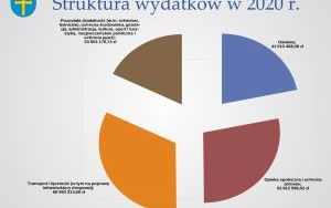 Raport o stanie powiatu kieleckiego za 2020 r. - prezentacja (8)