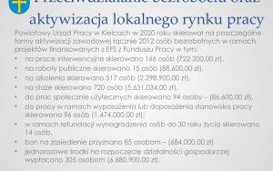 Raport o stanie powiatu kieleckiego za 2020 r. - prezentacja (2)