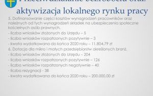 Raport o stanie powiatu kieleckiego za 2020 r. - prezentacja (7)