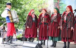 Święto muzyki ludowej w Chmielniku  (5)