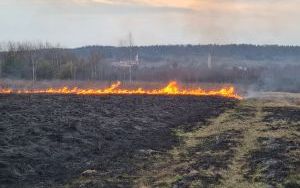 Straż pożarna apeluje: nie wypalajmy traw! (2)