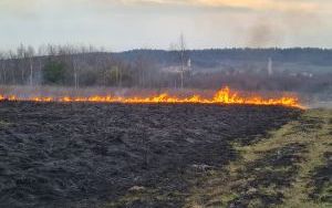 Straż pożarna apeluje: nie wypalajmy traw! (3)