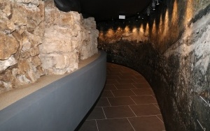 Otwarcie Muzeum Archeologiczniego w Wiślicy (2)