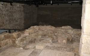 Otwarcie Muzeum Archeologiczniego w Wiślicy (1)