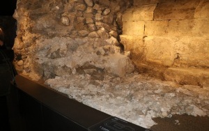 Otwarcie Muzeum Archeologiczniego w Wiślicy (2)