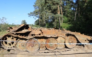 Oględziny zabytkowego wraku czołgu w Bieleckich Młynach (5)