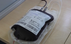 Akcja honorowego krwiodawstwa przed starostwem (6)