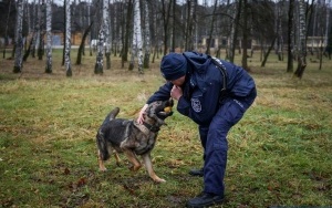 Czworonożny funkcjonariusz w szeregach świętokrzyskiej policji (6)