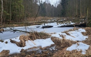 Nowe rezerwaty przyrody w powiecie kieleckim (5)