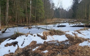 Nowe rezerwaty przyrody w powiecie kieleckim (1)