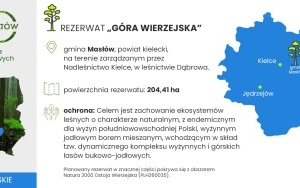 Nowe rezerwaty przyrody w powiecie kieleckim (2)